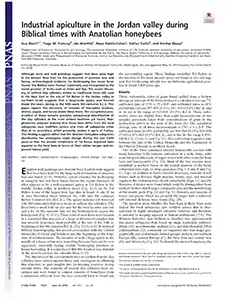 Visual for Industrial Apiculture in the Jordan Valley during Biblical Times with Anatolian Honeybees