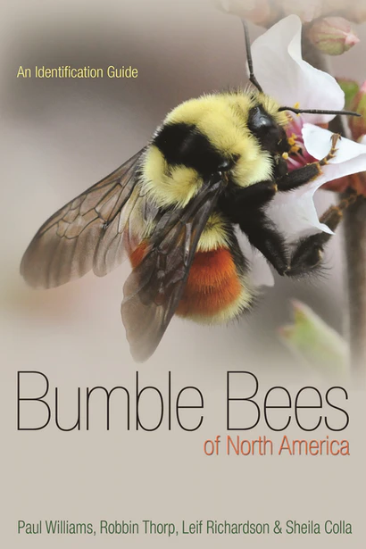 Bumble Bees of North America cover